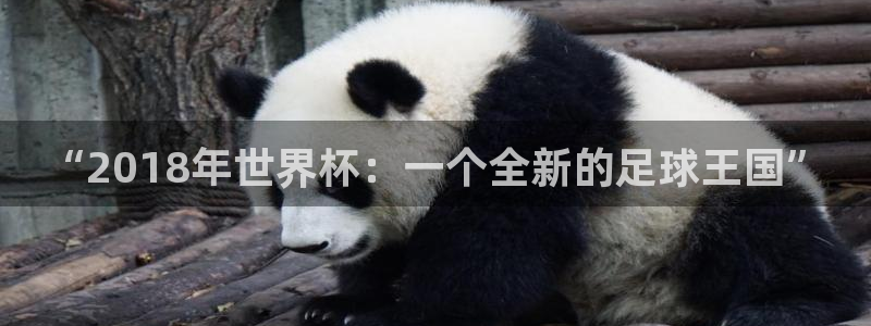 世界杯直播:“2018年世界杯:一个全新的足球王国”