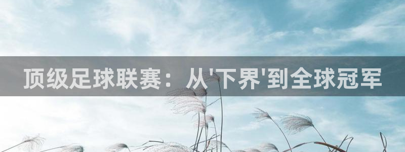 世界杯球队:顶级足球联赛:从\'下界\'到全球冠军